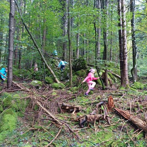 Über Stock und Stein.