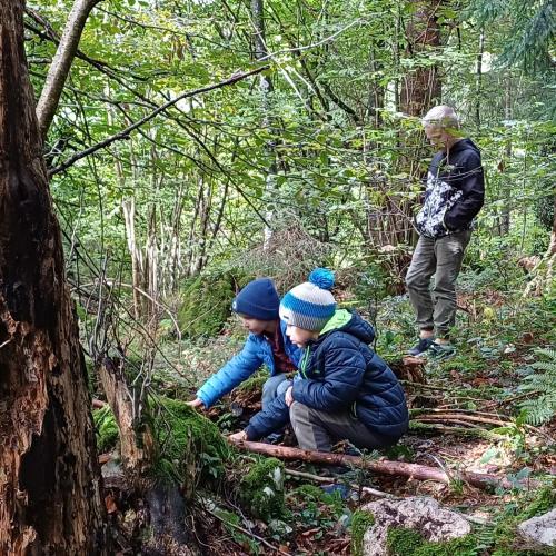 Verstecken macht Spaß!