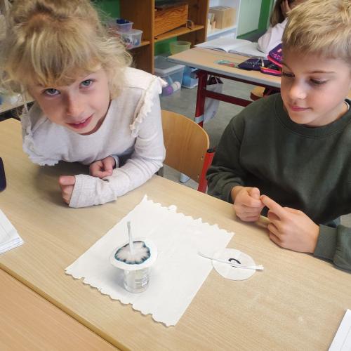 Runge Bilder herstellen