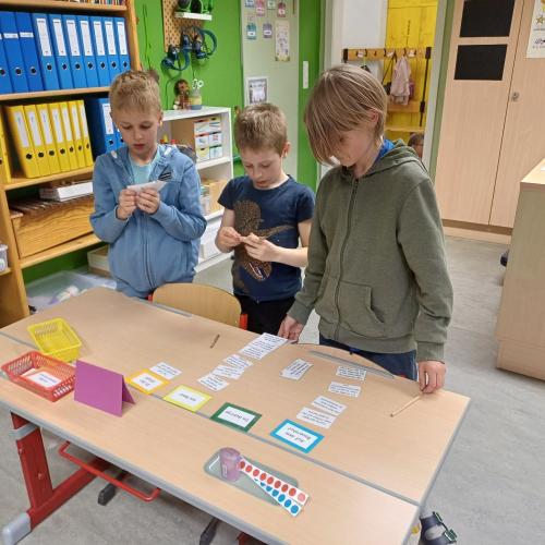 Lesenacht
