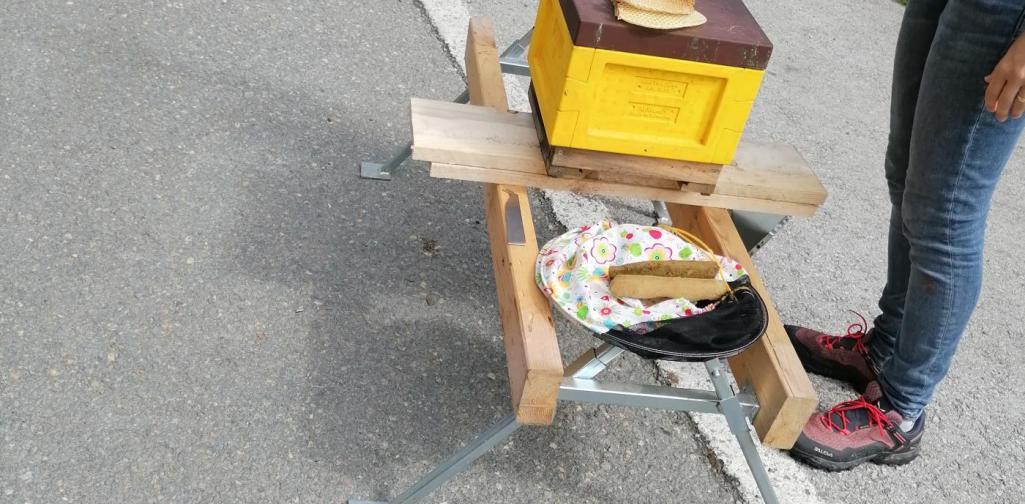 Einführung Schulbienen