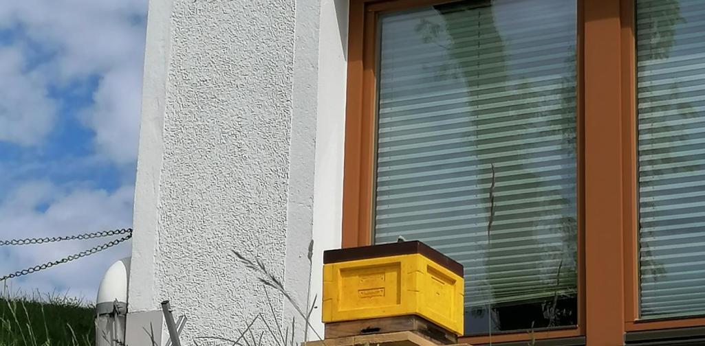 Schulbienenstock 22